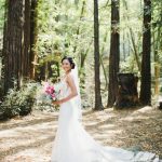 Novella Bridal Wedding Dress Cleaning Angel