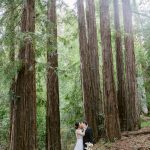 Lovely Bride Dress Cleaning - Jenny and Devin